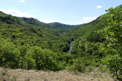 P1360636