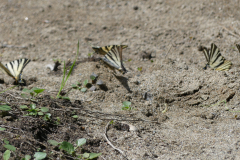 P1360640
