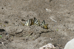 P1360641