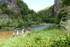 P1360651