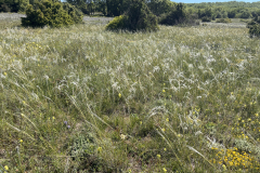 IMG_9027