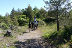 P1360841