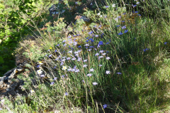 P1360842