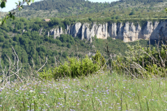 P1360844