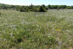 P1360858