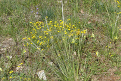 P1360862