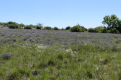 P1360864