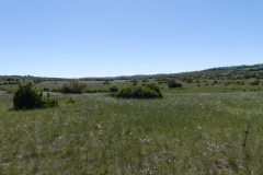 P1360866