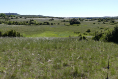 P1360867