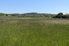 P1360869