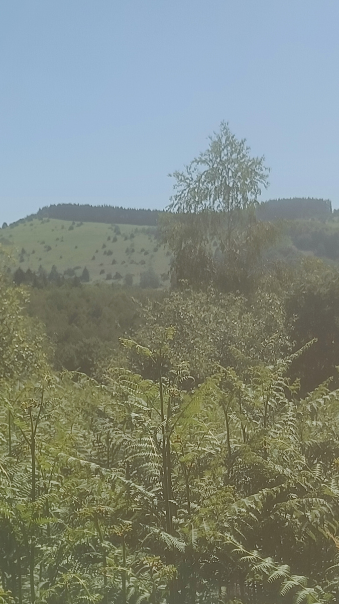 IMG20260618111422