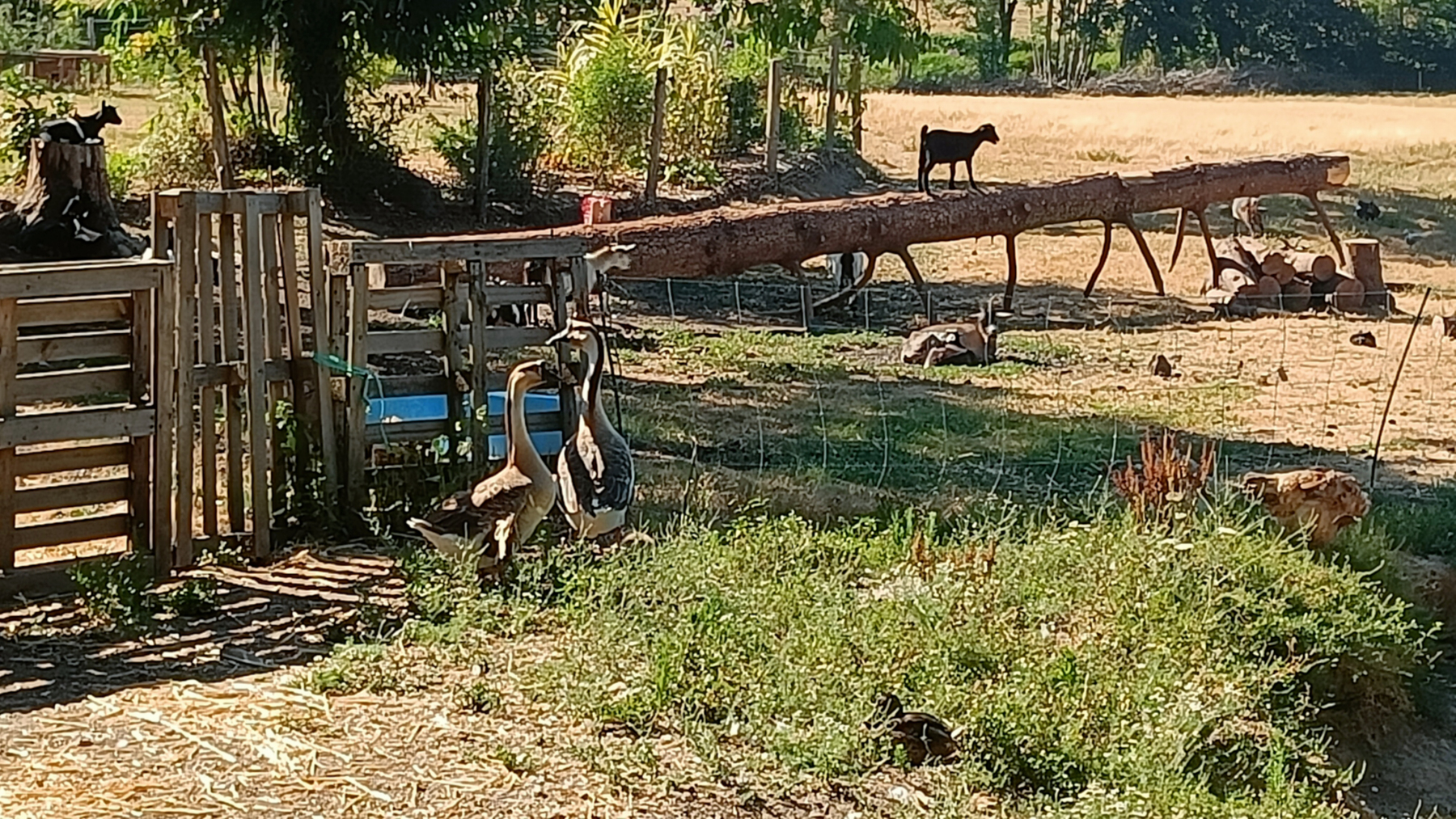 IMG20260702101418
