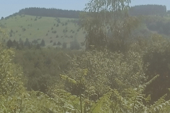 IMG20260618111422