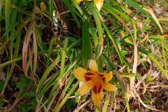 IMG20260701180539