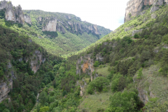 P1360315