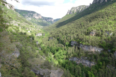 P1360318