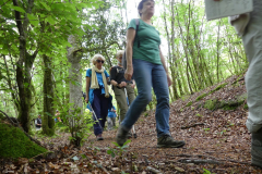 2021-06-06-compreignac-pierres-de-legende-137