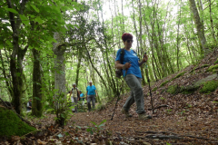 2021-06-06-compreignac-pierres-de-legende-140