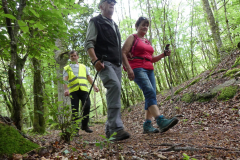 2021-06-06-compreignac-pierres-de-legende-147