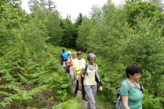 2021-06-06-compreignac-pierres-de-legende-38