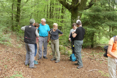 2021-06-06-compreignac-pierres-de-legende-6