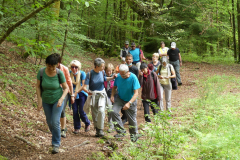 2021-06-06-compreignac-pierres-de-legende-7