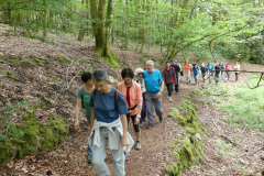 2021-06-06-compreignac-pierres-de-legende-9