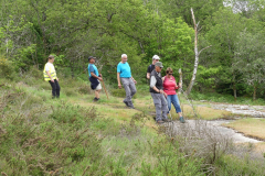 2021-06-06-compreignac-pierres-de-legende-91