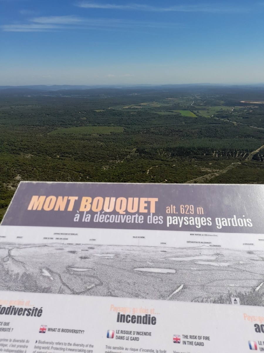 2022-06-11-Mejannes-vers-Mont-Bouquet-retour-Seynes-141