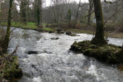 2021-02-28-randos-st-auvent-25
