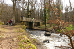 2021-02-28-randos-st-auvent-27