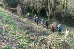 2021-02-28-randos-st-auvent-8